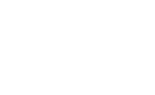 透明的Aloha